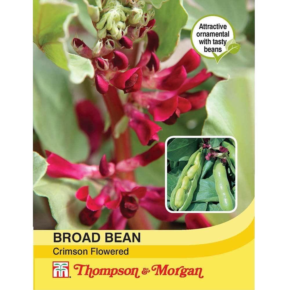 Thompson & Morgan Broad Bean Crimson Flowered 30 Seed