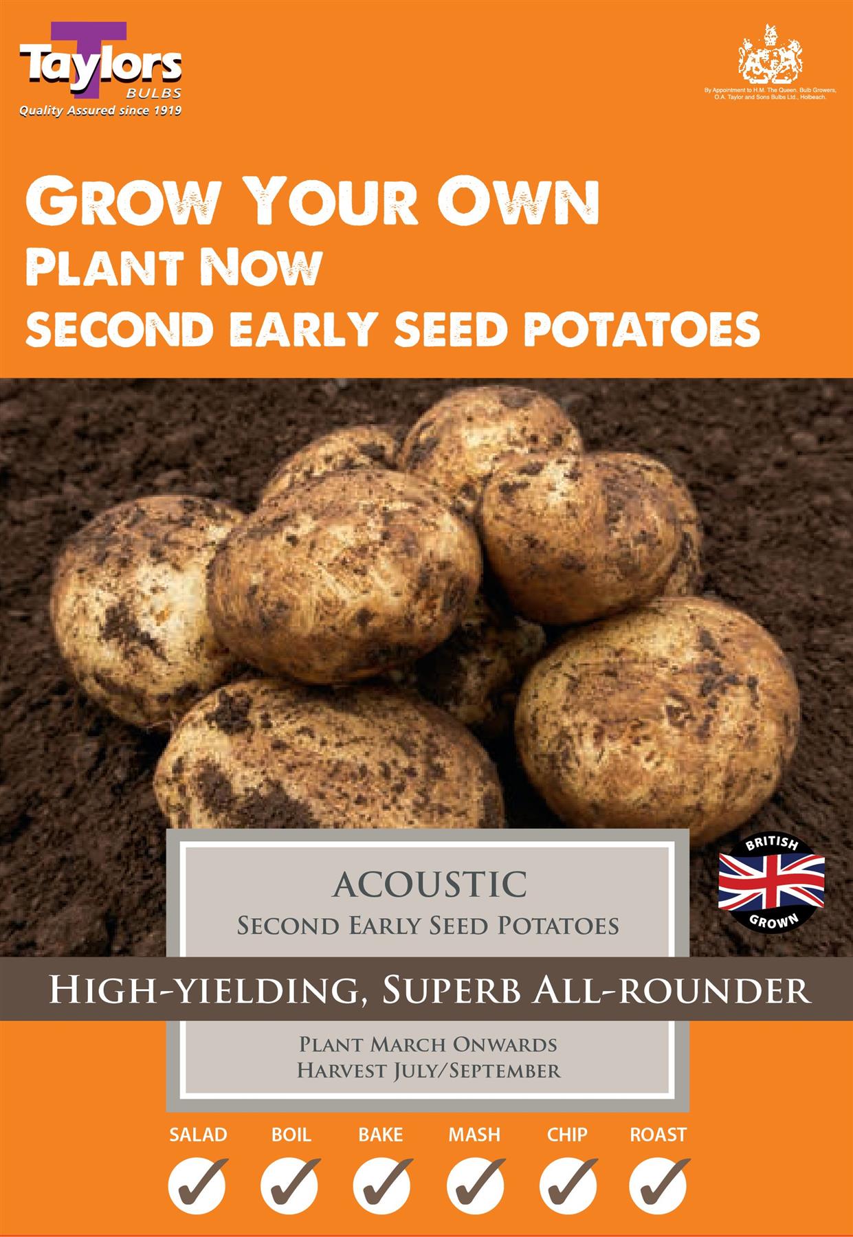 Taylors - Seed Potatoes - Acoustic - 10 Tubers - Second Early – JustSeed