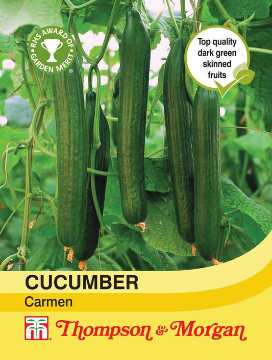 Thompson & Morgan Cucumber Carmen 4 Seed