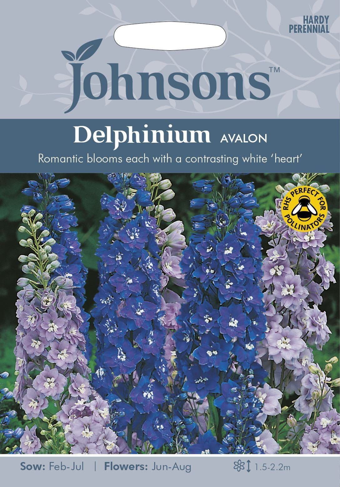 Johnsons Delphinium Avalon 40 Seeds