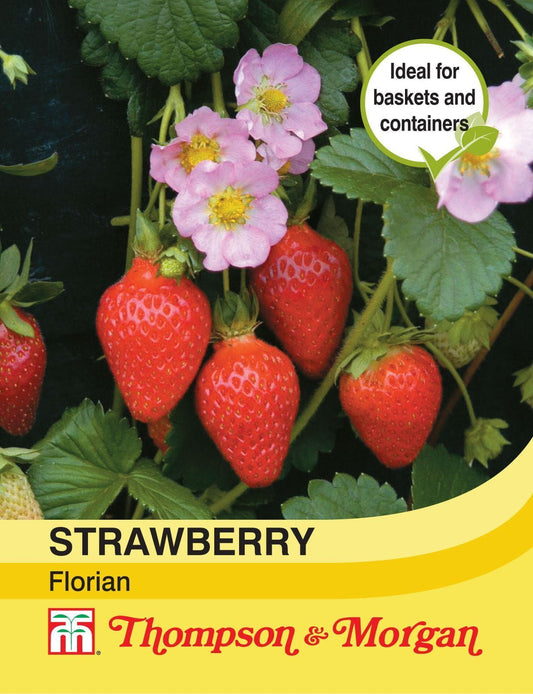 Thompson & Morgan Fruit Strawberry Florian F1 10 Seed