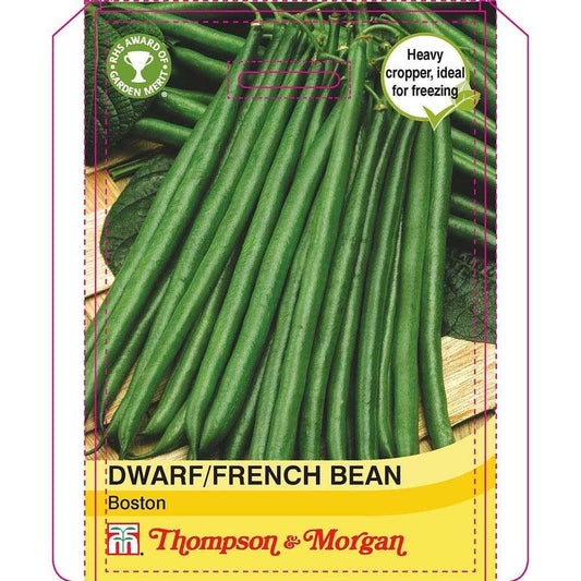 Thompson & Morgan Dwarf Bean Boston 100 Seed