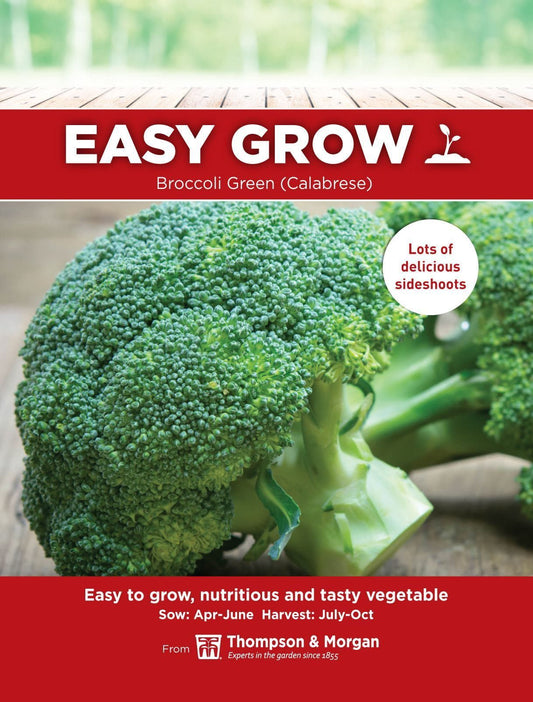 Thompson & Morgan - EasyGrow - Vegetable - Broccoli - Green Broccoli (Calabrese) - 100 Seeds