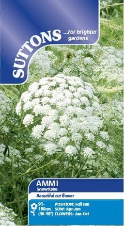 Sutton Seeds - Ammi majus Seed - Snowflake