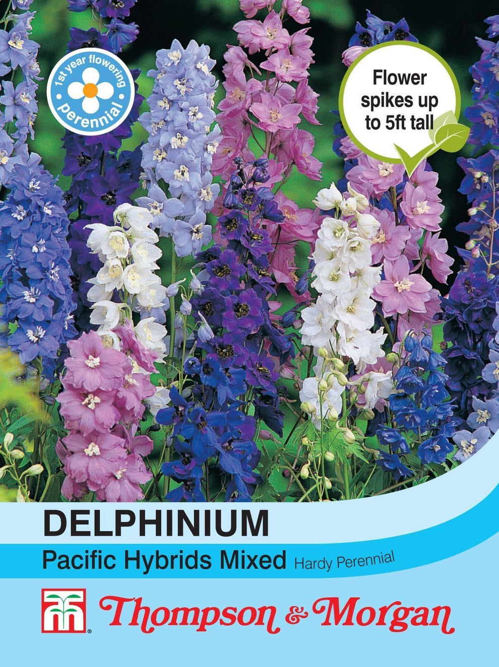 Thompson & Morgan Delphinium Pacific Hybrids Mix Seed – JustSeed