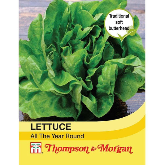 Thompson & Morgan Lettuce All Year Round 1000 Seed