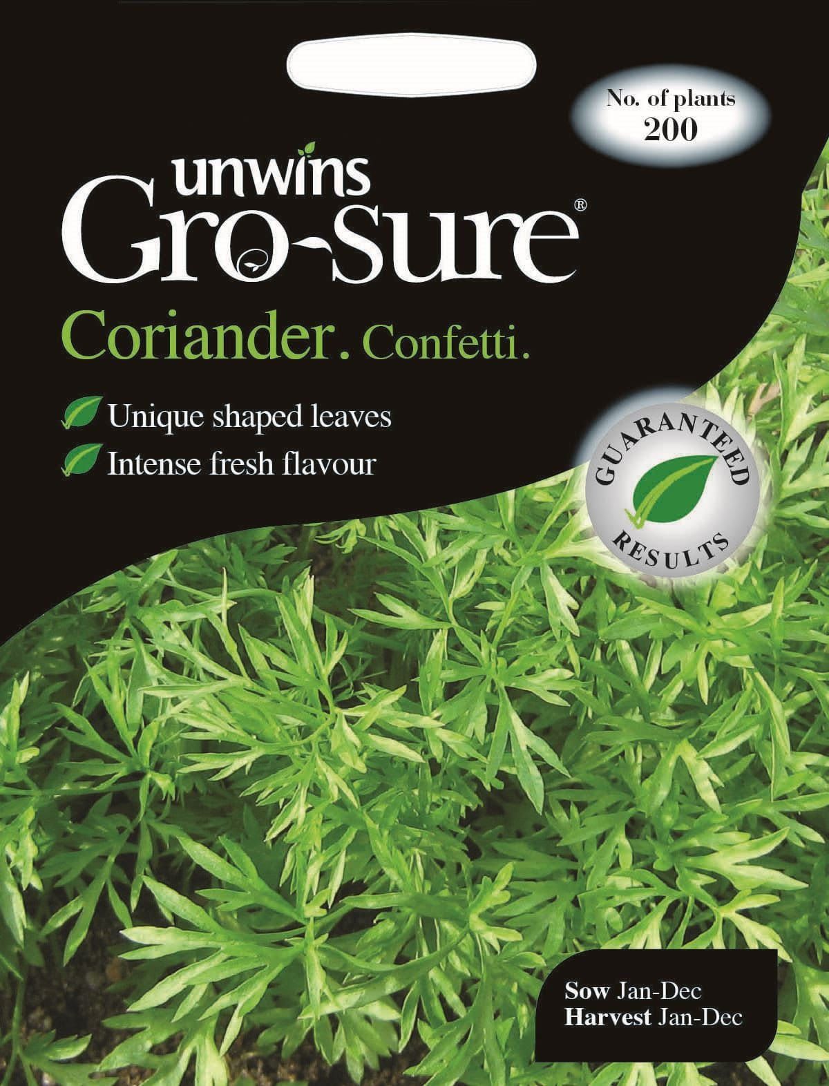 Unwins Coriander Confetti (d) 200 Seeds