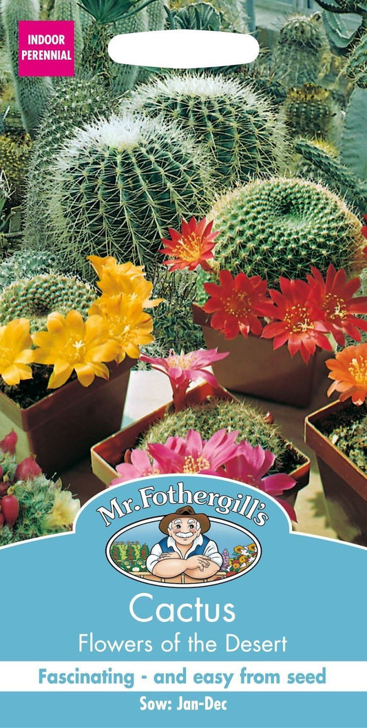 Mr Fothergills House Plant Cactus Flowers of The Desert 30 Seeds