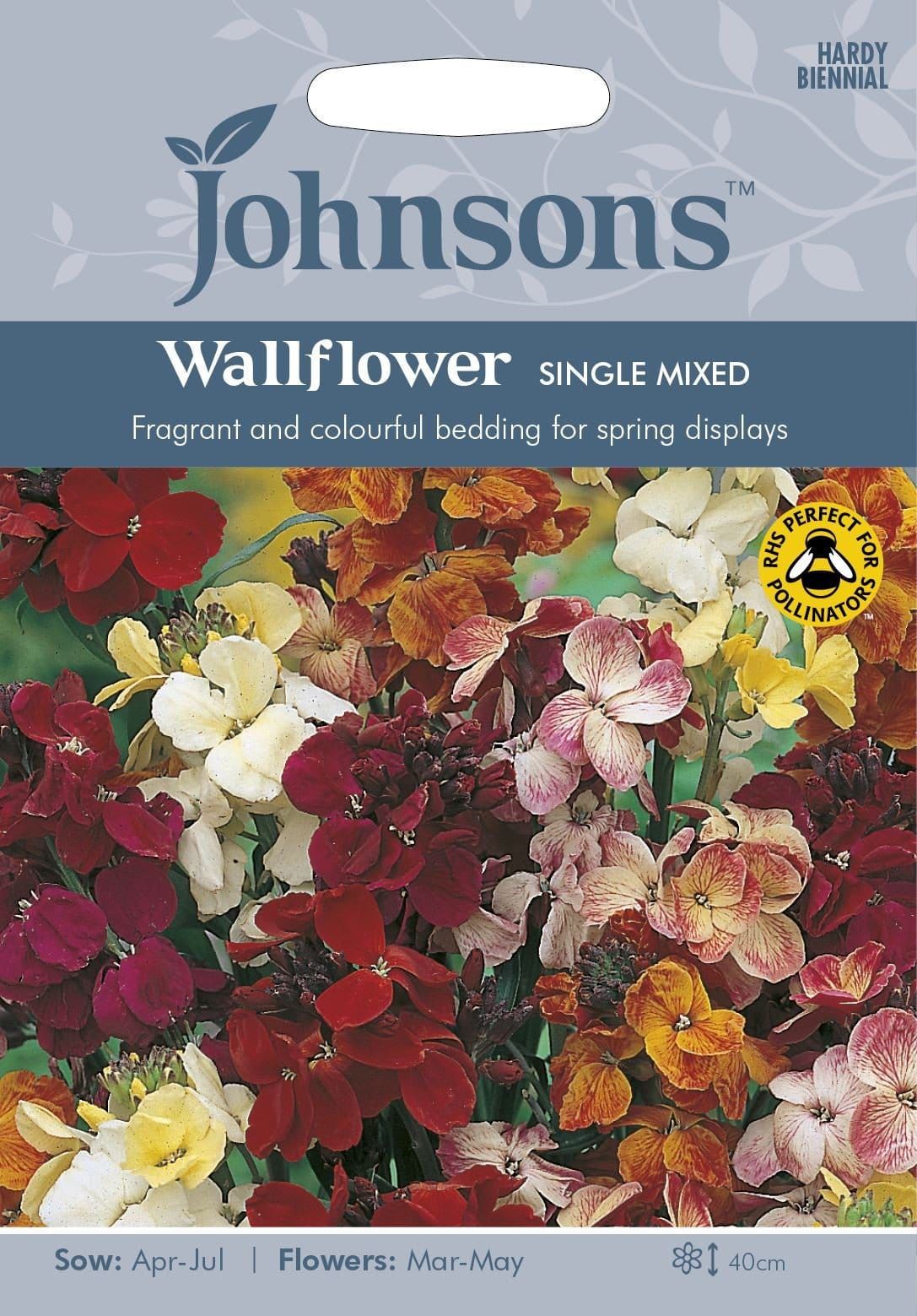 Johnsons Wallflower Single Mixed 500 Seeds