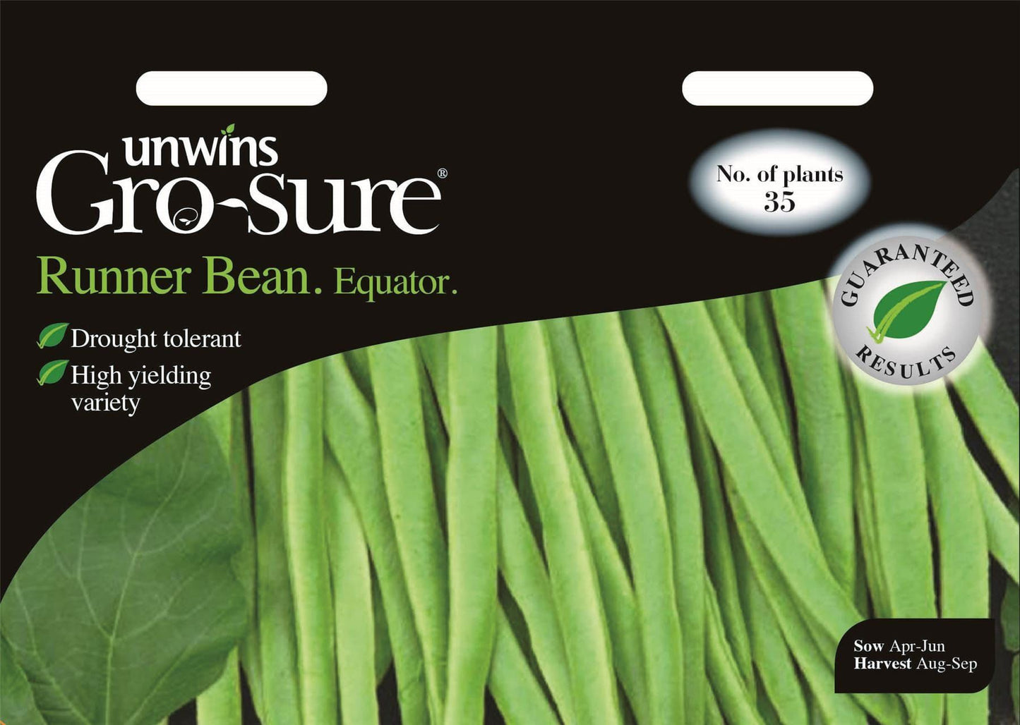 Unwins Runner Bean Equator 35 Seeds
