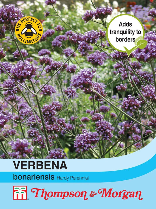Thompson & Morgan Verbena Bonariensis 200 Seed