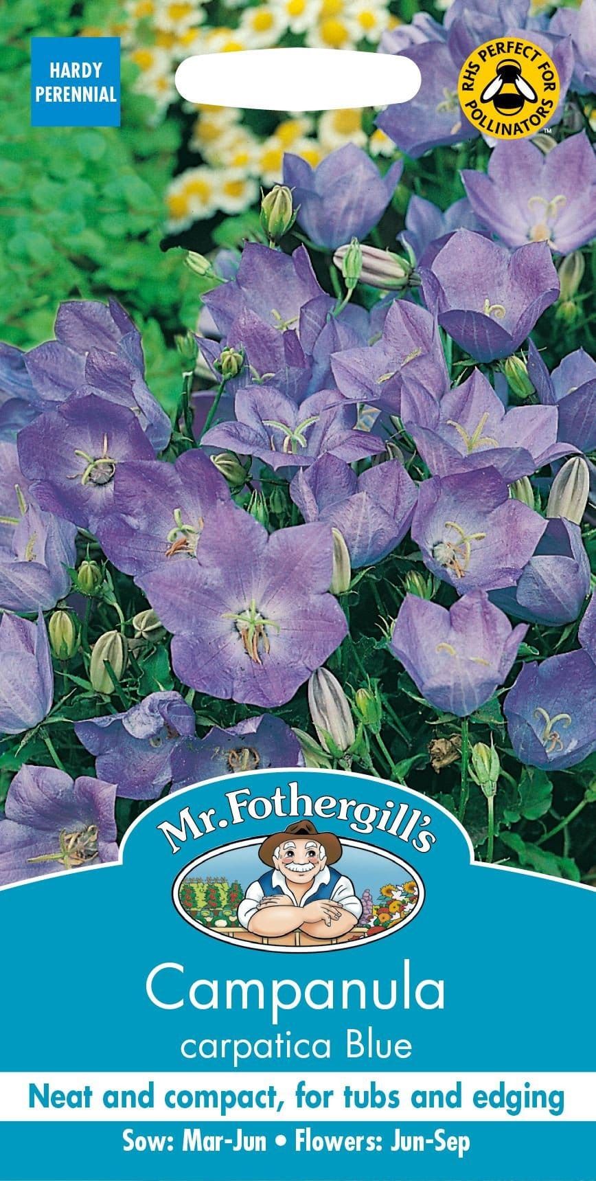 Mr Fothergills Campanula Carpatica Blue 1500 Seeds