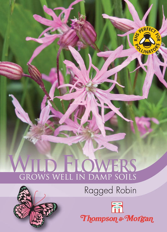 Thompson & Morgan Wild Flower Ragged Robin 300 Seed