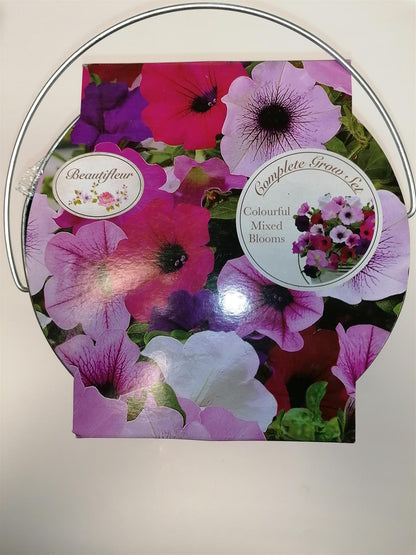 Beautifleur - Petunia - Metal Planter Seeds