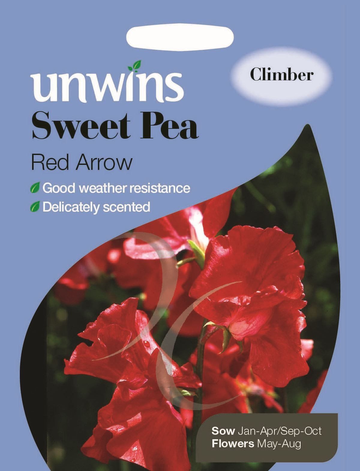 Unwins Sweet Pea Red Arrow 21 Seeds