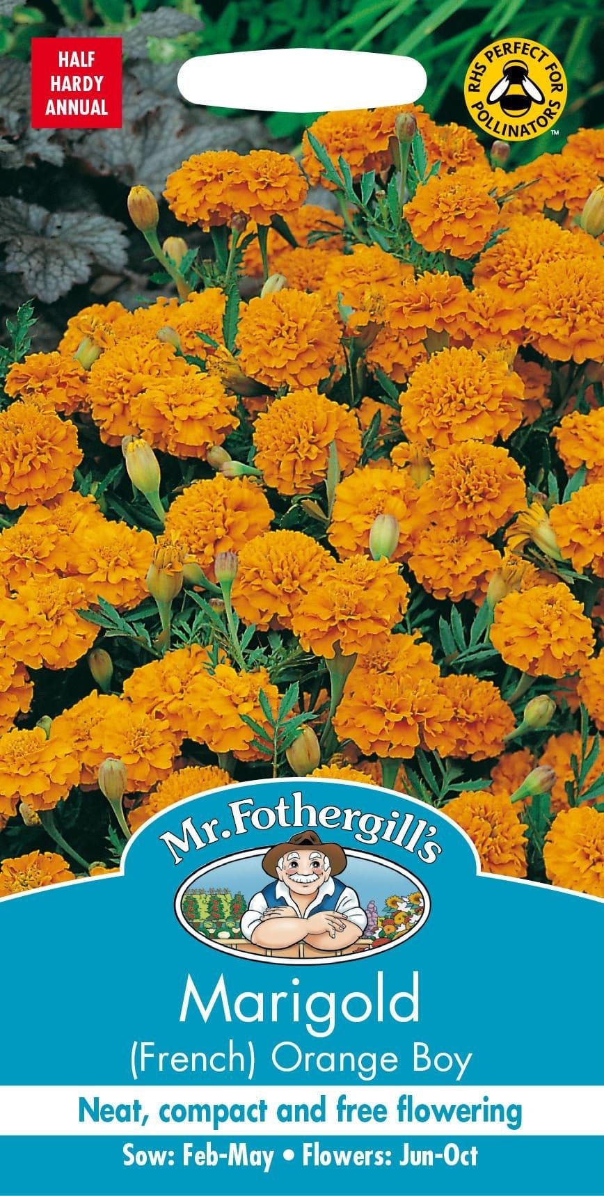 Mr Fothergills Marigold (French) Orange Boy 60 Seeds