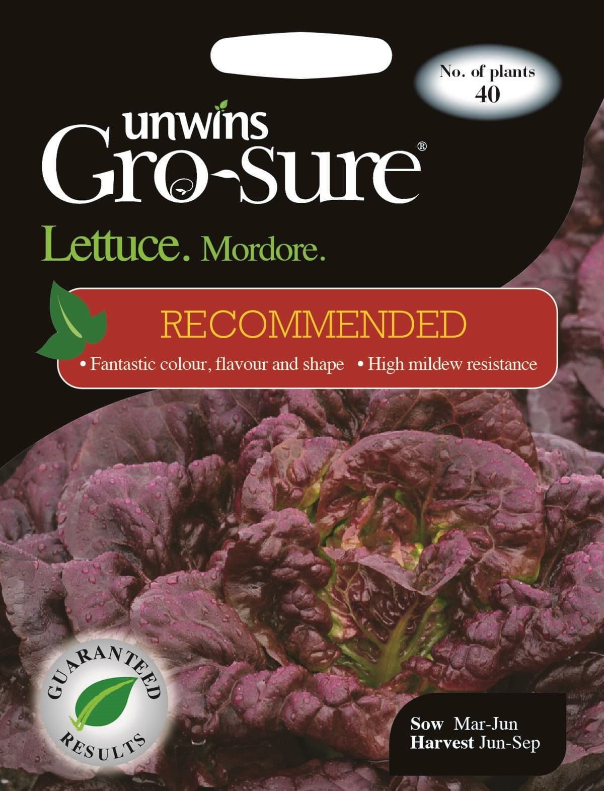 Unwins Lettuce Mordore 40 Seeds