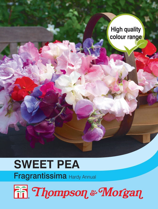 Thompson & Morgan Sweet Pea Fragrantissima 30 Seed