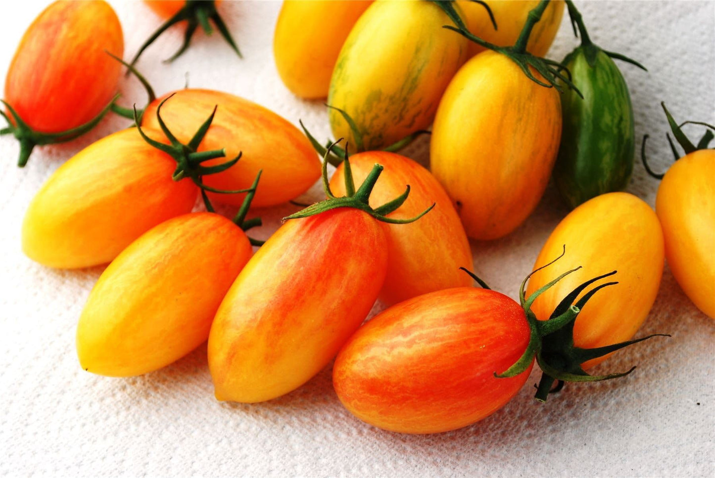 Tomato Artisan Blush Tiger Seeds