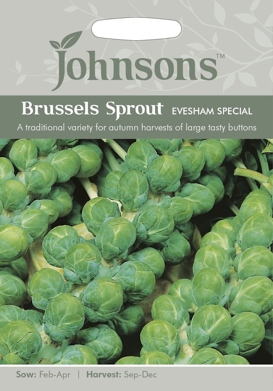 Johnsons Brussels Sprout Evesham Special 500 Seeds