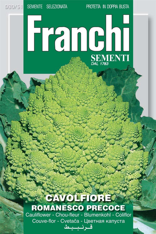 Franchi Seeds of Italy Cauliflower Romanesco Precoce Seeds