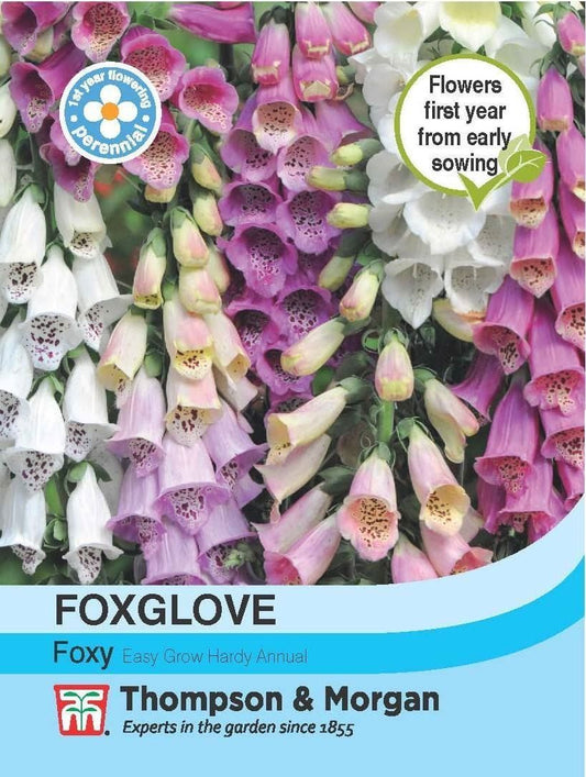 Thompson & Morgan Foxglove Foxy 1000 Seed
