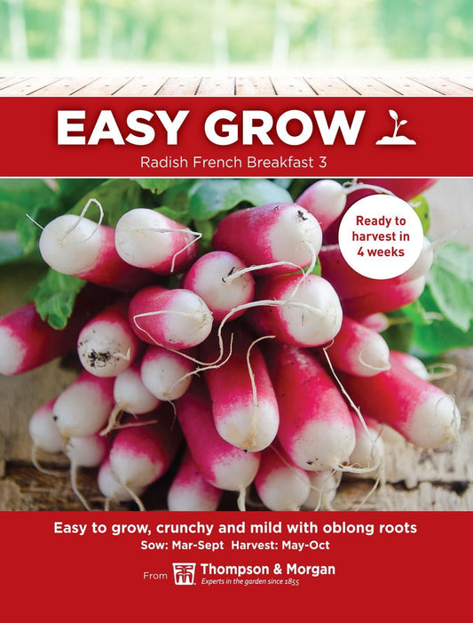 Thompson & Morgan - EasyGrow - Vegetable - Radish - French Breakfast 3 - 450 Seeds