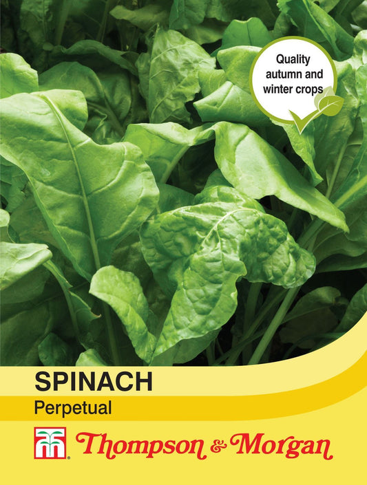 Thompson & Morgan Spinach Perpetual 250 Seed