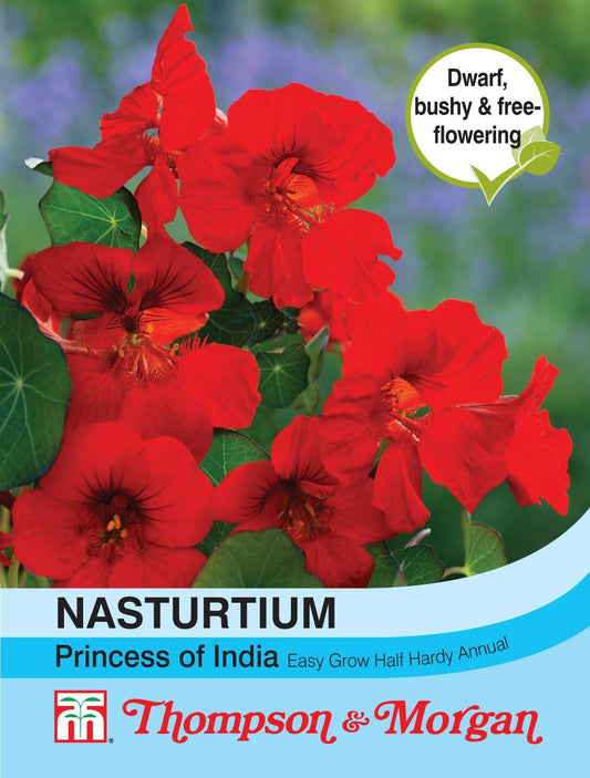 Thompson & Morgan Nasturtium Princess Of India 30 Seed