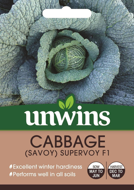 Unwins Cabbage (Savoy) Supervoy F1 32 Seeds