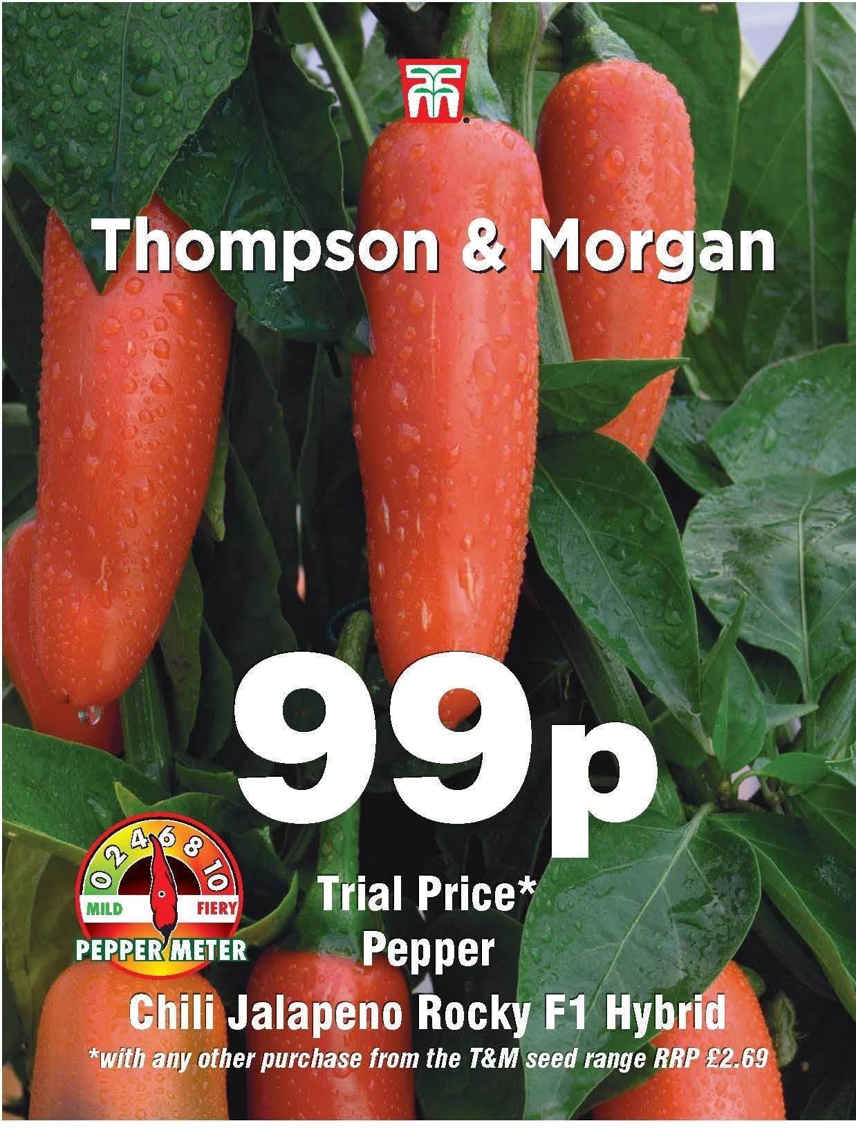 Thompson & Morgan Pepper Chili Jalapeno Rocky F1 hybrid 10 Seed Only 99p