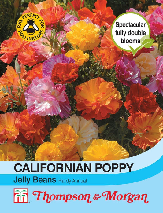Thompson & Morgan Californian Poppy Jelly Beans 125 Seed