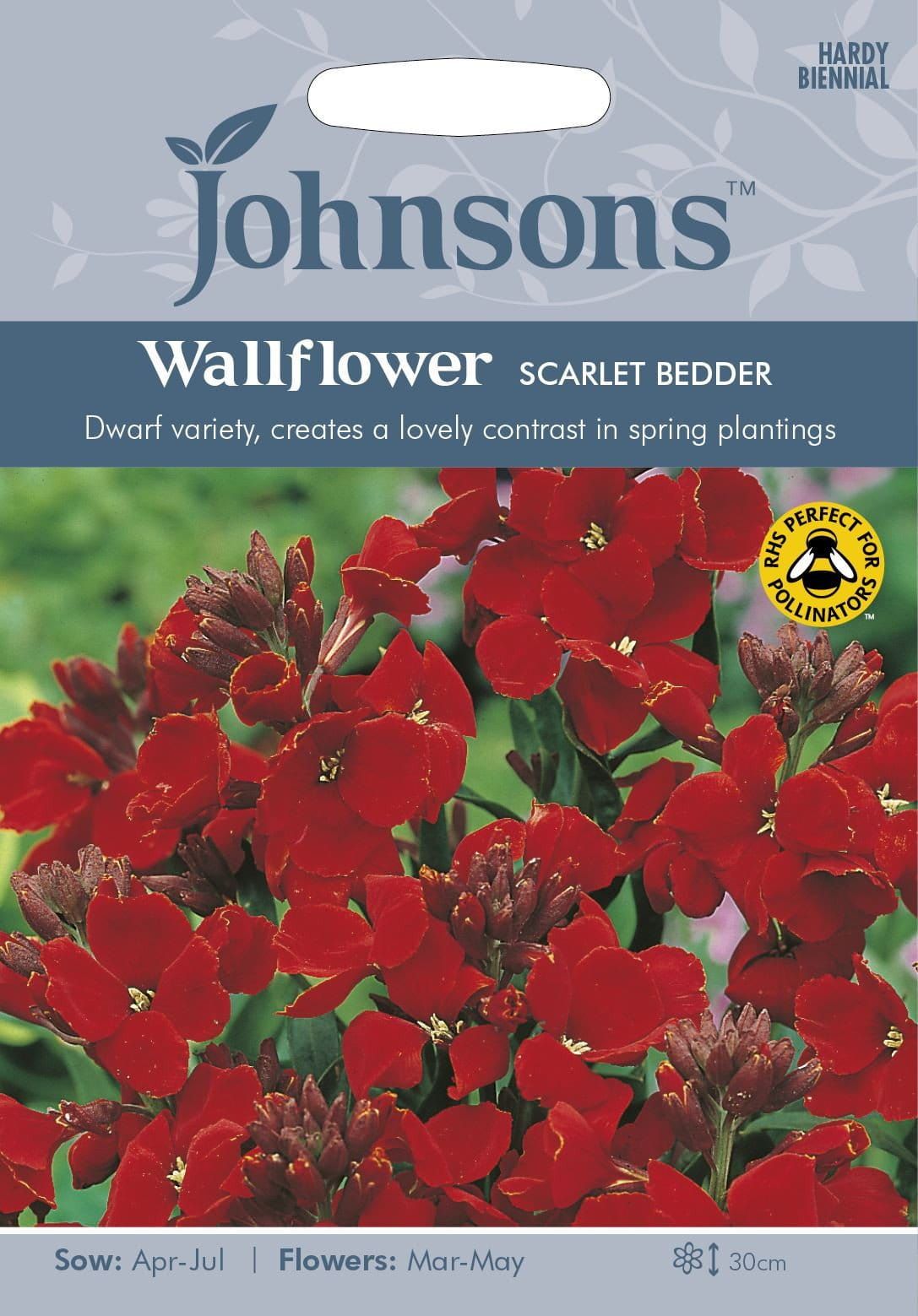 Johnsons Wallflower Scarlet Bedder 500 Seeds
