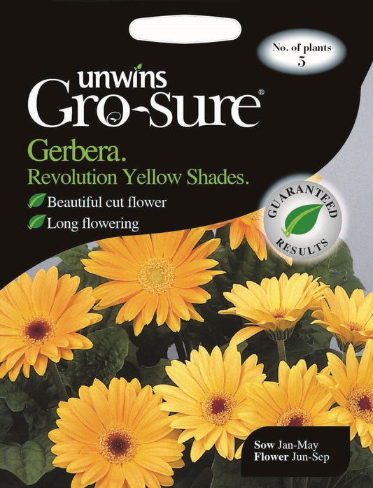 Unwins Gerbera Revolution Yellow Shades F1 5 Seeds