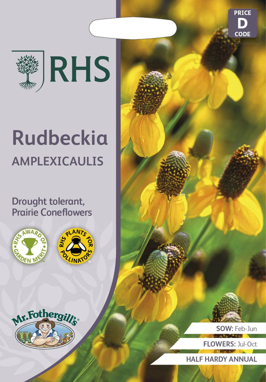 Mr Fothergills - RHS - Flower - Rudbeckia - Amplexicaulis - 200 Seeds