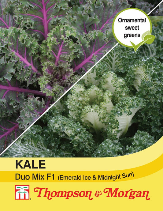 Thompson & Morgan Kale Duo Mix (Emerald Ice & Midnight Sun) 20 Seed