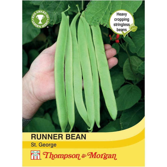 Thompson & Morgan Runner Bean St. George 40 Seed
