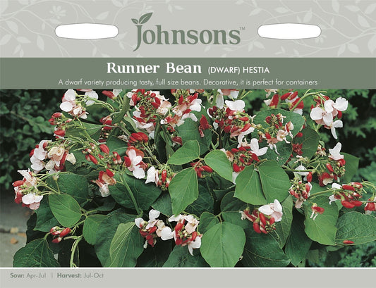 Johnsons Dwarf Runner Bean Hestia 40 Seeds