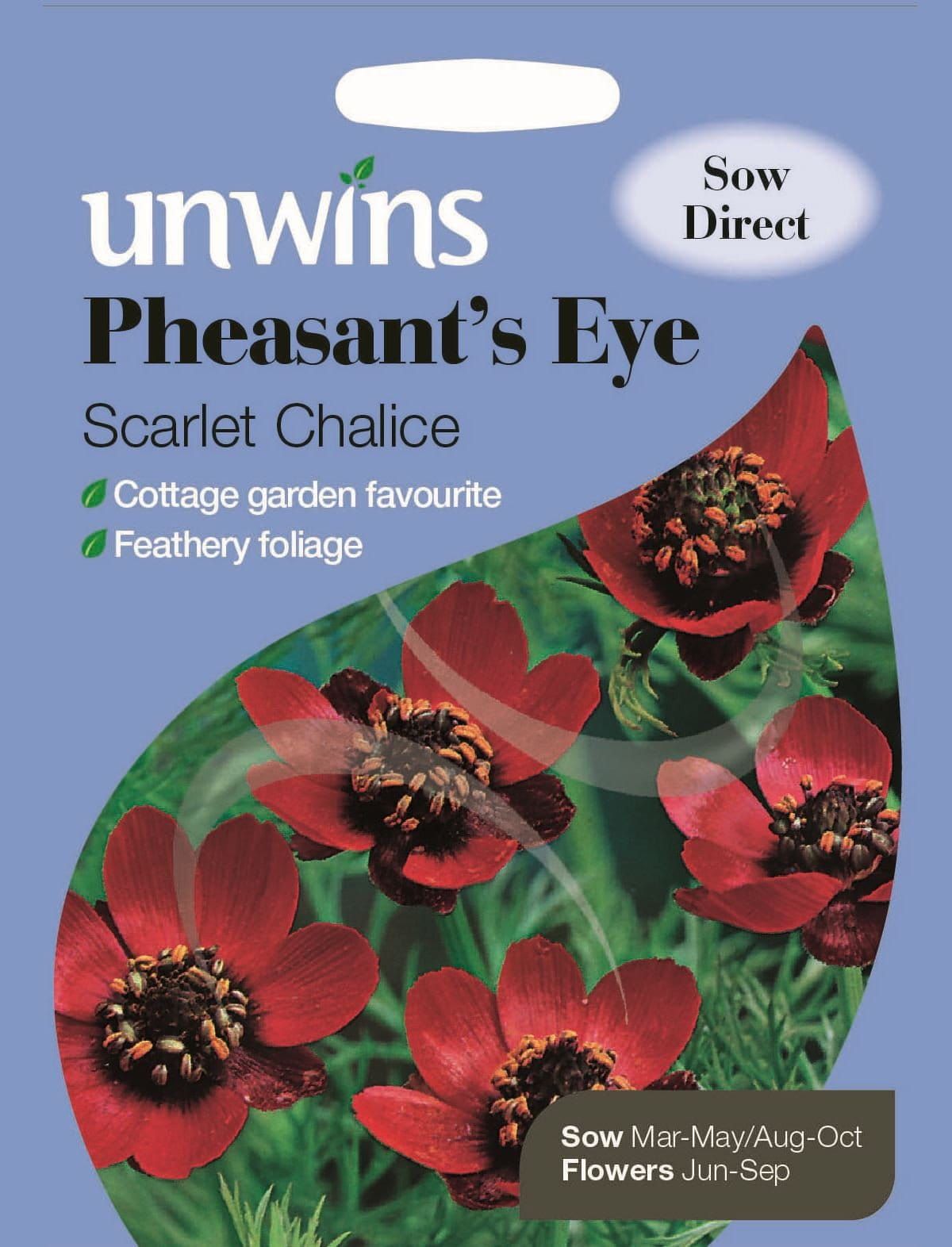Unwins Pheasant's Eye Scarlet Chalice 100 Seeds