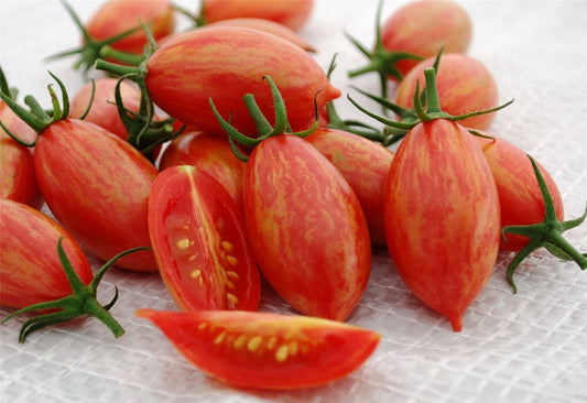 Tomato Artisan Pink Tiger Seeds