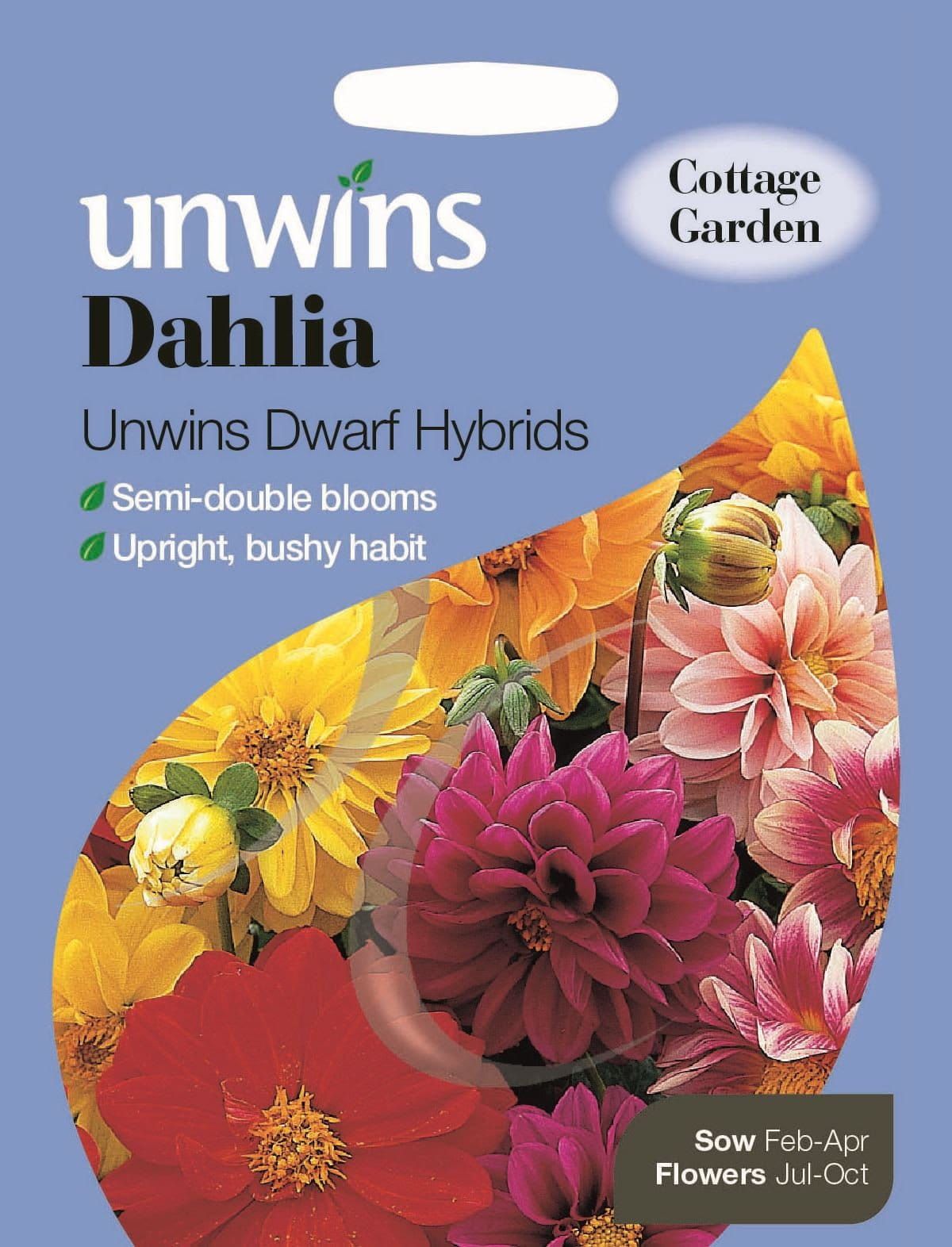 Unwins Dahlia Unwins Dwarf Hybrids 75 Seeds