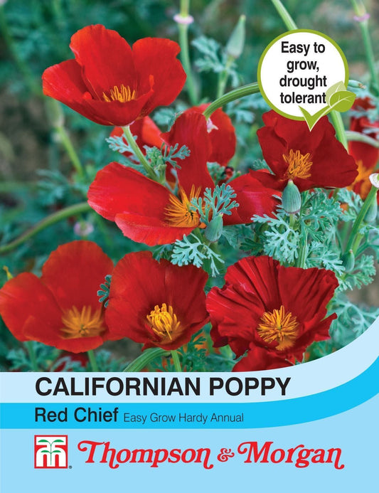 Thompson & Morgan - Flower - Californian Poppy - Red Chief - 300 Seeds