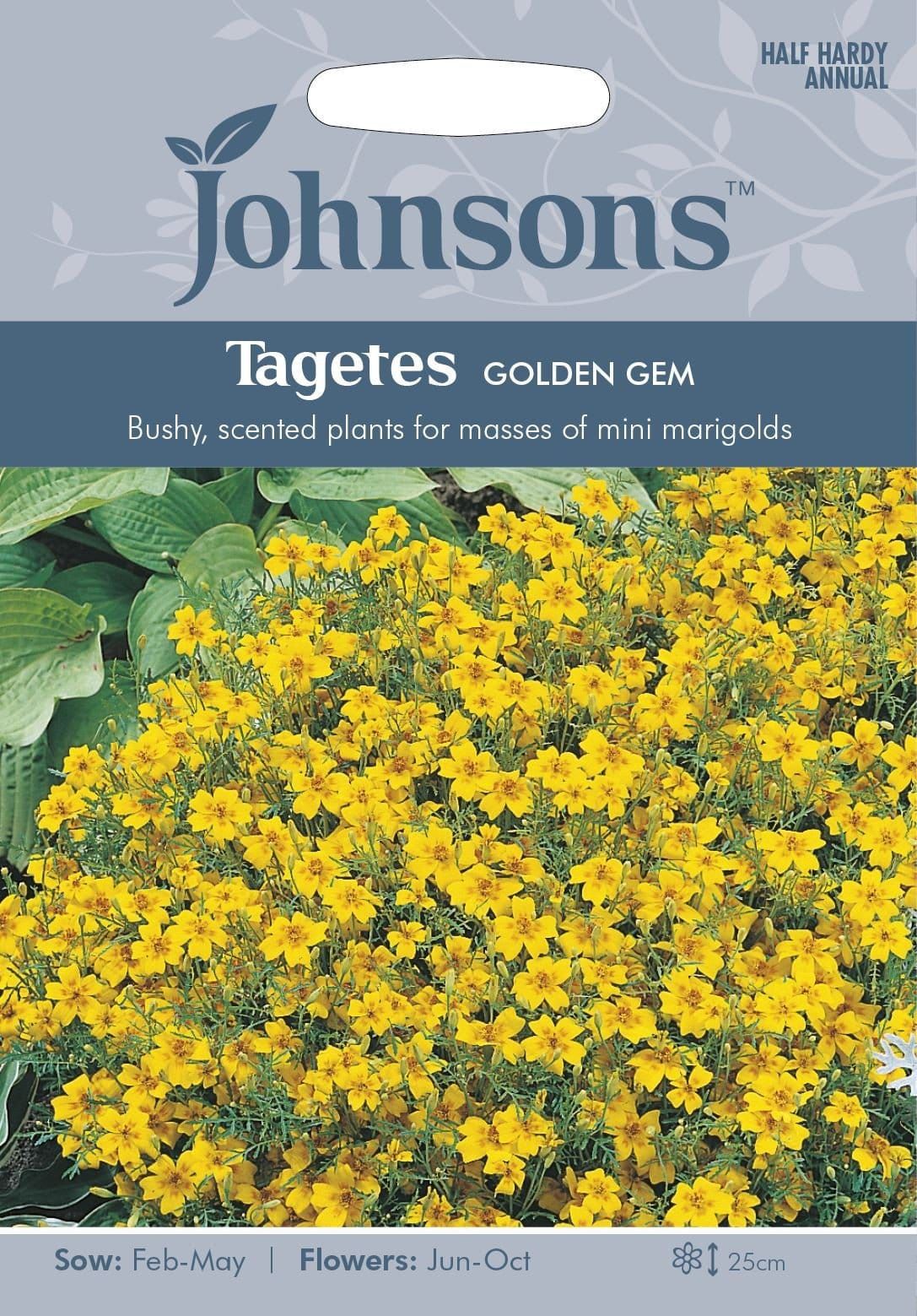 Johnsons Tagetes Golden Gem 150 Seeds