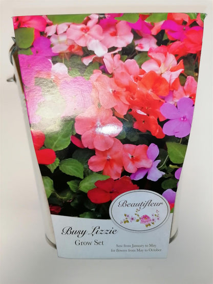 Beautifleur - Busy Lizzie - Metal Planter Seeds