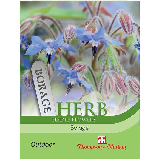 Thompson & Morgan Herb Borage 100 Seed