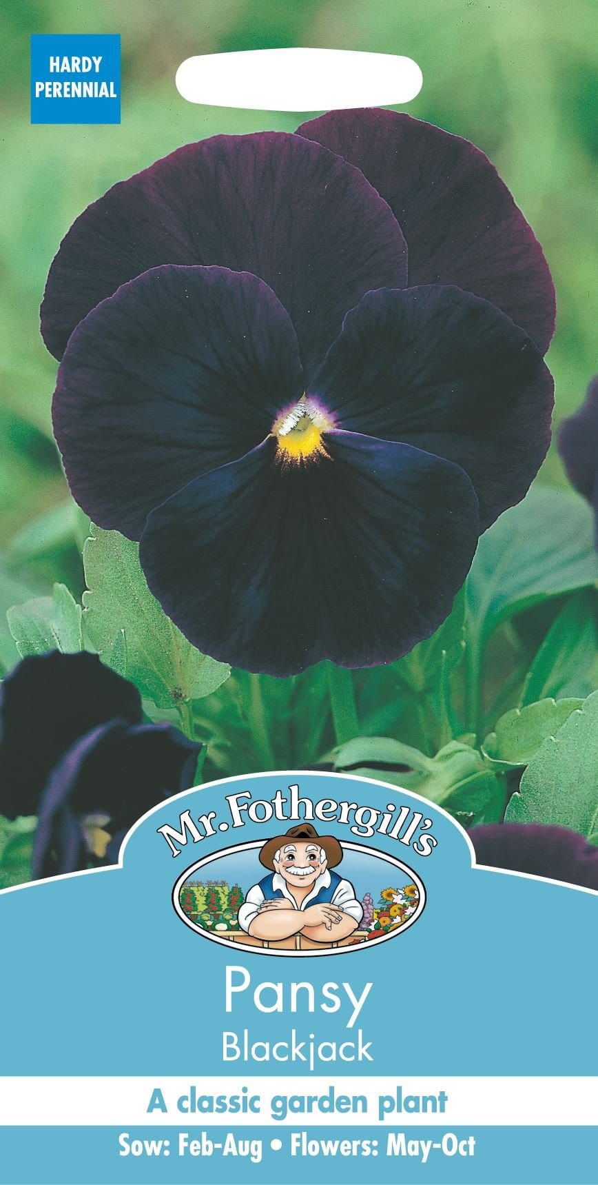 Mr Fothergills Pansy Blackjack 75 Seeds