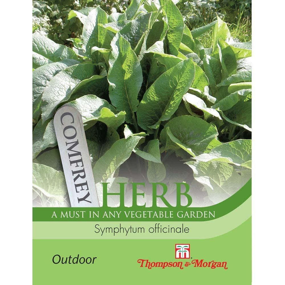 Thompson & Morgan Seeds – Premium Flower, Vegetable & Herb Seeds Online ...