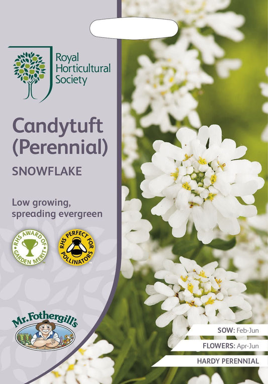 Mr Fothergills RHS Candytuft (Perennial) Snowflake 75 Seeds