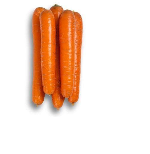 Carrot Jerada RZ F1 Hybrid (55151) Seeds