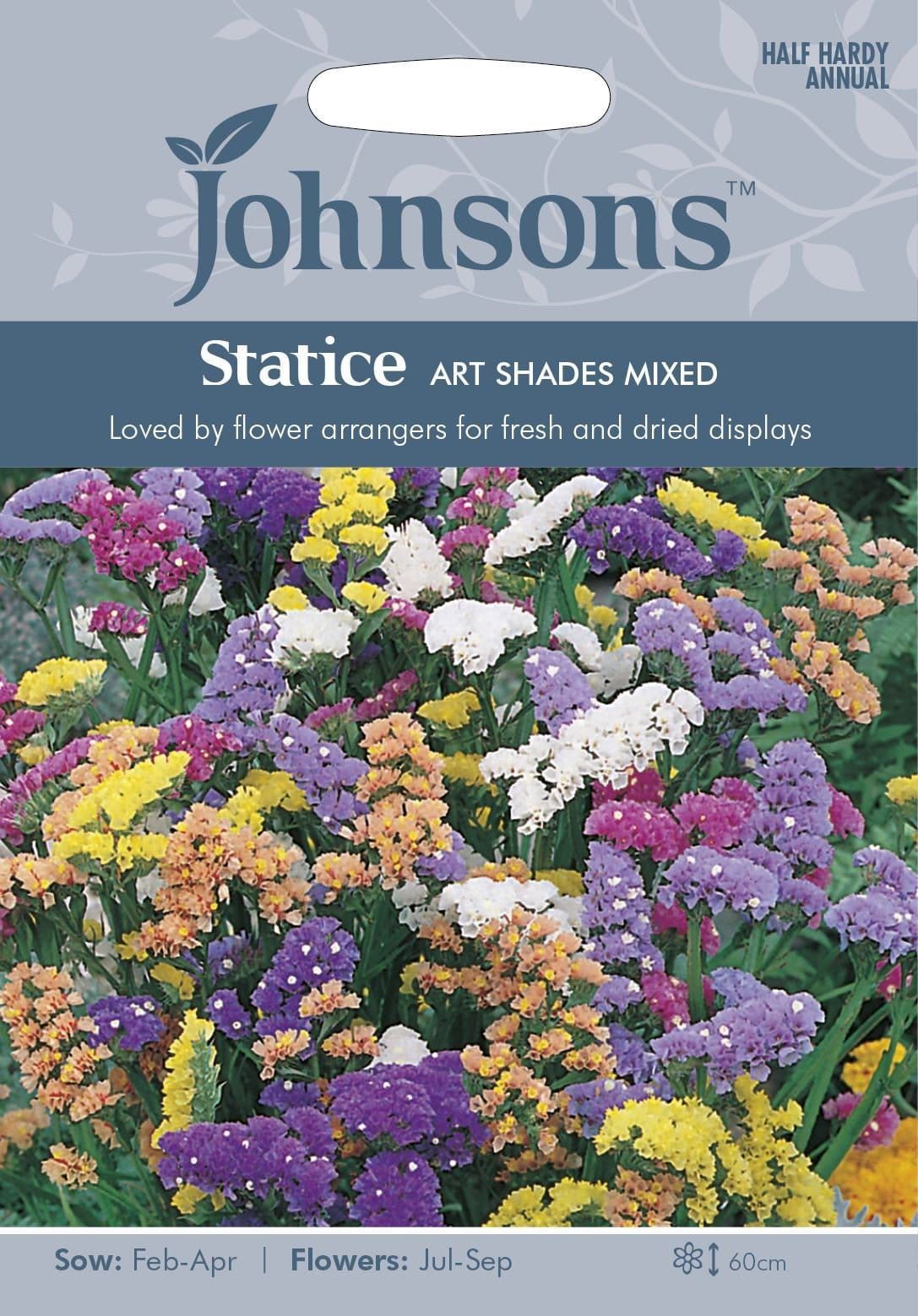 Johnsons Statice Art Shades Mixed 100 Seeds